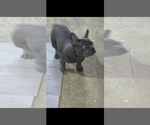 Small #4 Breeder Profile image