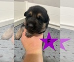Small #1 Breeder Profile image