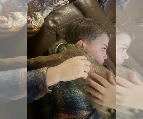 Medium Photo #9  Breeder Profile in ATHENS, AL, USA