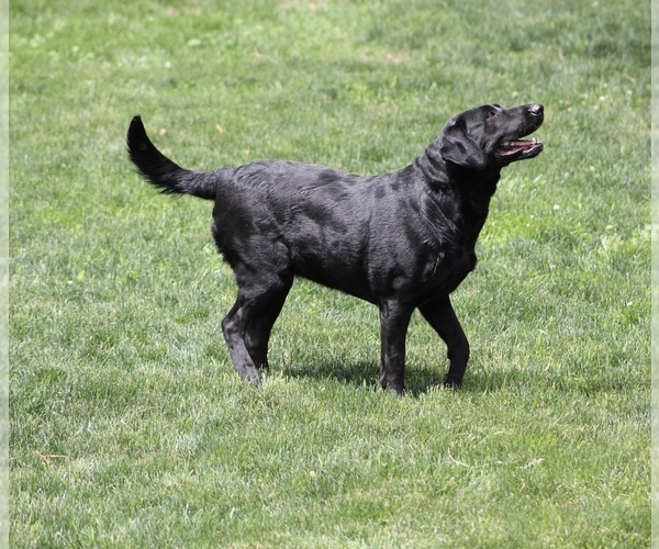 Medium Photo #1  Breeder Profile in BUFFALO, WY, USA