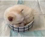 Small #1 Breeder Profile image