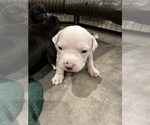 Small #3 Breeder Profile image