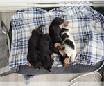 Small #23 Breeder Profile image