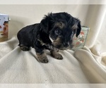 Small #26 Breeder Profile image