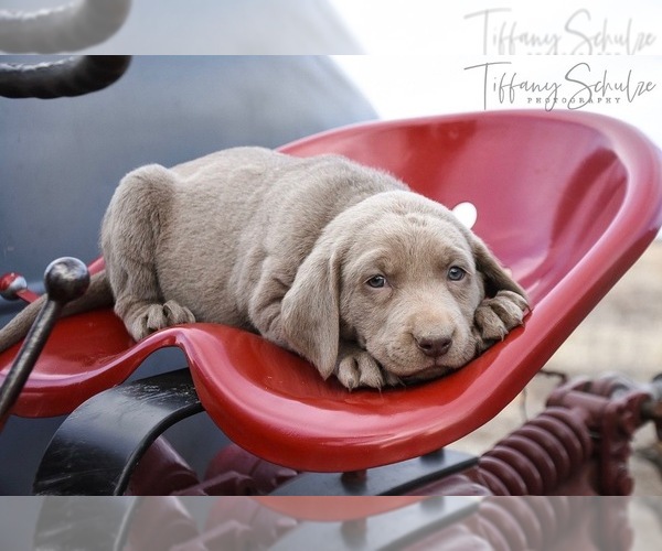 Medium Photo #1  Breeder Profile in CRAIG, CO, USA