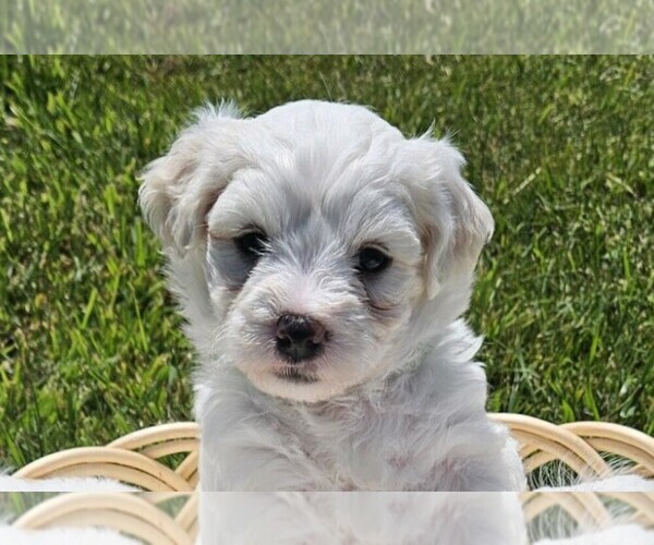 Medium Photo #3  Breeder Profile in FERNDALE, CA, USA