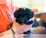 Small #27 Breeder Profile image