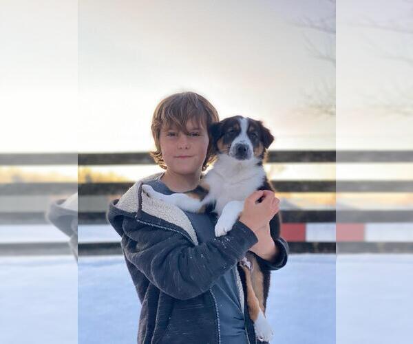 Medium Photo #39  Breeder Profile in PARIS, MI, USA