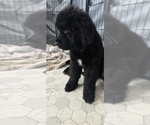 Small #63 Breeder Profile image