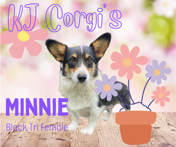 Medium Photo #2  Breeder Profile in COOKEVLE, TN, USA