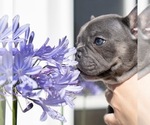 Small #13 Breeder Profile image