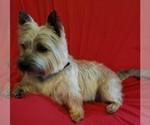 Small #2 Breeder Profile image