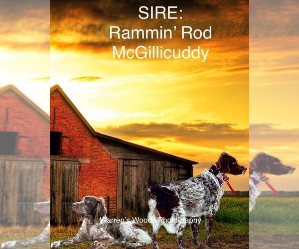 Medium Photo #3  Breeder Profile in THOMPSONVILLE, MI, USA