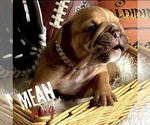 Small #3 Breeder Profile image