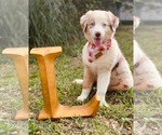 Small #24 Breeder Profile image