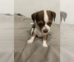 Small #3 Breeder Profile image