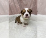 Small #17 Breeder Profile image