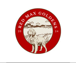 Golden Retriever Dog Breeder near STIGLER, OK, USA