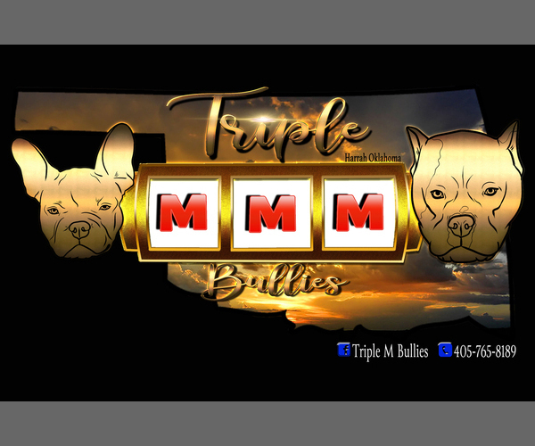 Medium Photo #1  Breeder Profile in NEWALLA, OK, USA