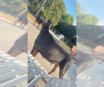 Small #3 Breeder Profile image