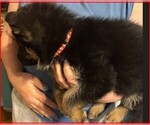 Small #15 Breeder Profile image