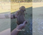 Small #32 Breeder Profile image