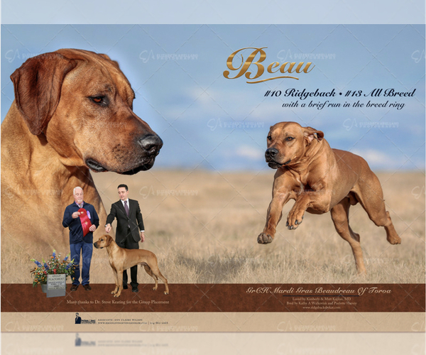 Medium Photo #13  Breeder Profile in CALDWELL, TX, USA