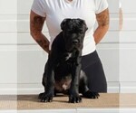 Small #4 Breeder Profile image