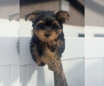 Small #4 Breeder Profile image