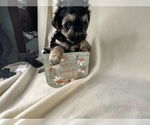 Small #28 Breeder Profile image