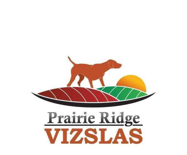 Medium Photo #1  Breeder Profile in HARLAN, IA, USA