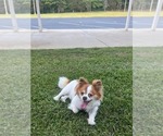 Small #82 Breeder Profile image