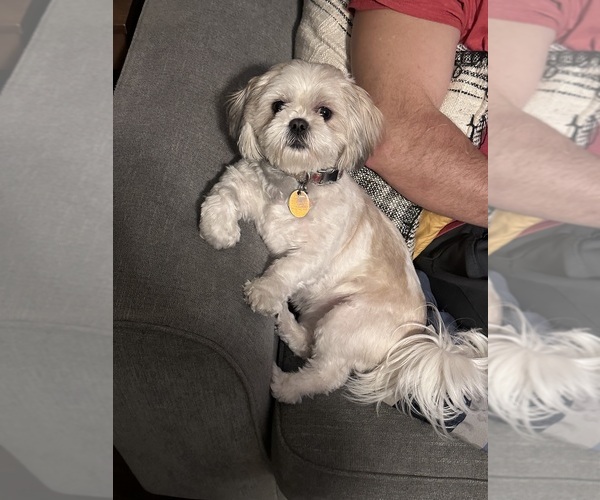 Medium Photo #3  Breeder Profile in COUNCIL GROVE, KS, USA