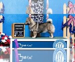 Small #14 Breeder Profile image