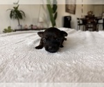Small #5 Breeder Profile image