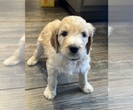Small #2 Breeder Profile image