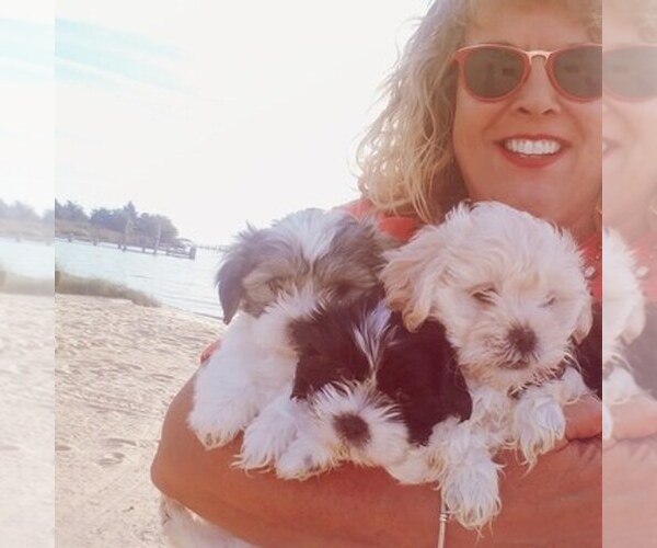 Medium Photo #1  Breeder Profile in GERMANTOWN, MD, USA