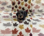 Small #2 Breeder Profile image