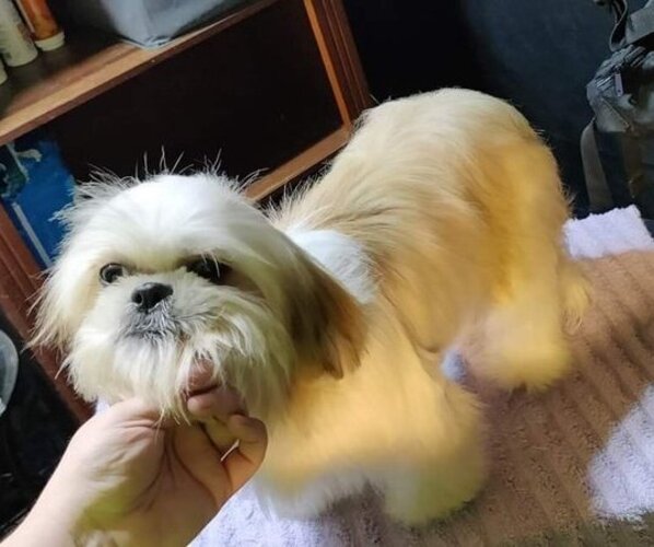 Medium Photo #1  Breeder Profile in LONGVIEW, WA, USA