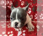 Small #10 Breeder Profile image