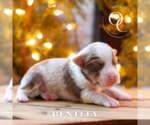 Small #3 Breeder Profile image