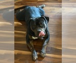 Small #1 Breeder Profile image