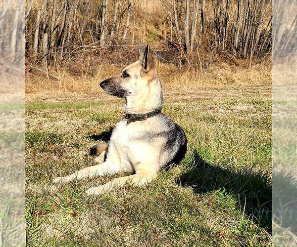 Medium Photo #8  Breeder Profile in HUMBOLDT, TN, USA