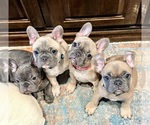 Small #9 Breeder Profile image