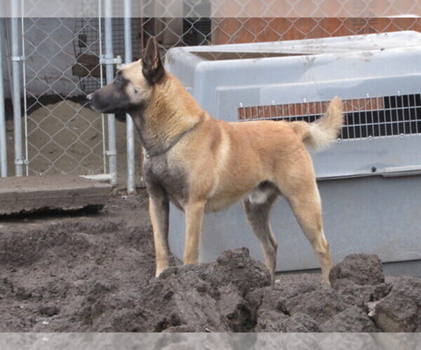 Medium Photo #1  Breeder Profile in VALLEJO, CA, USA
