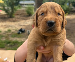 Small #1 Breeder Profile image