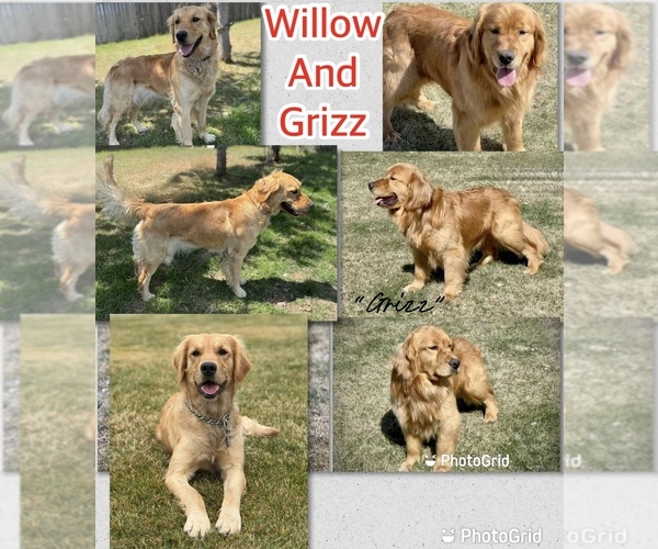 Medium Photo #6  Breeder Profile in TONASKET, WA, USA