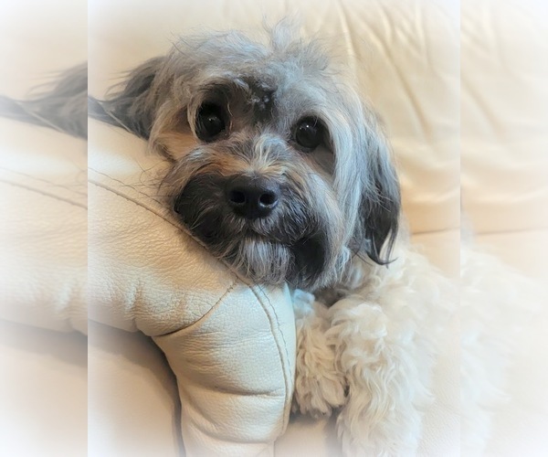 Medium Photo #1  Breeder Profile in RAINIER, OR, USA