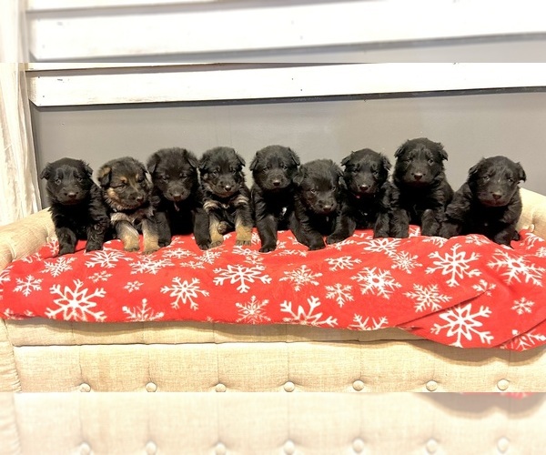 Medium Photo #1  Breeder Profile in STOCKTON, IL, USA