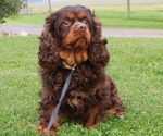 Small #55 Breeder Profile image